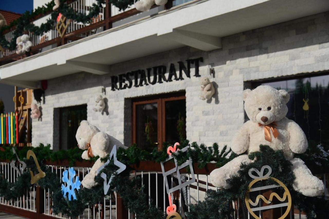 Pensiune Rara Păltiniş Extérieur photo