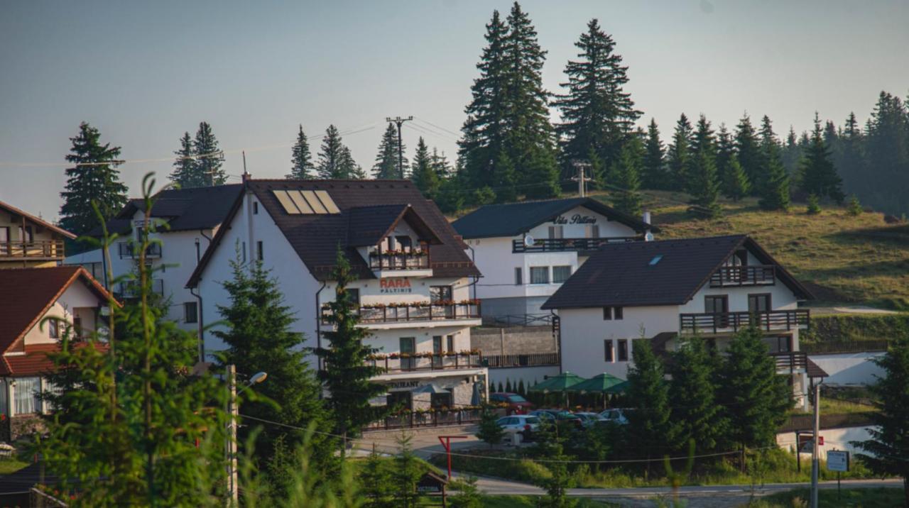 Pensiune Rara Păltiniş Extérieur photo