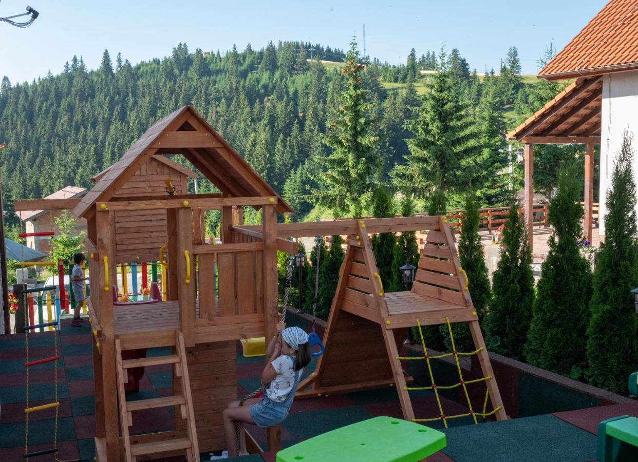 Pensiune Rara Păltiniş Extérieur photo